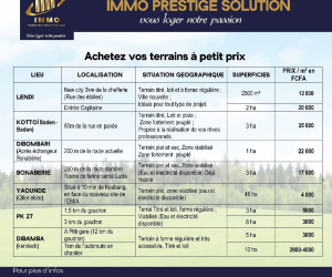 Nos services