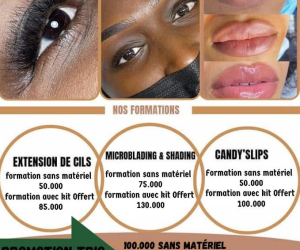 Microblading/Microshading microneedling lipocavitation makeup onglerie Coiffure soin esthétiq formati
