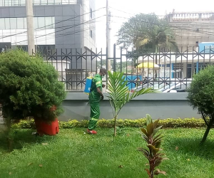 Jardin